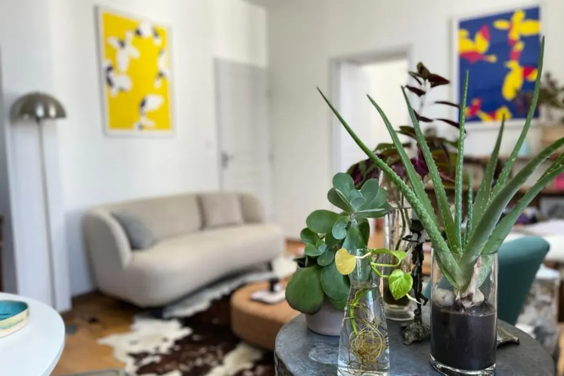 Charmant Appartement Lumineux