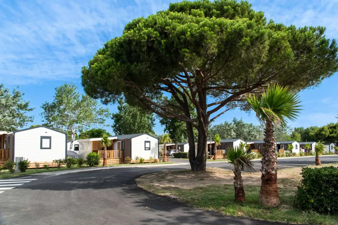 Camping Club La Côte des Roses 4 étoiles★★★★ - MS Vacances