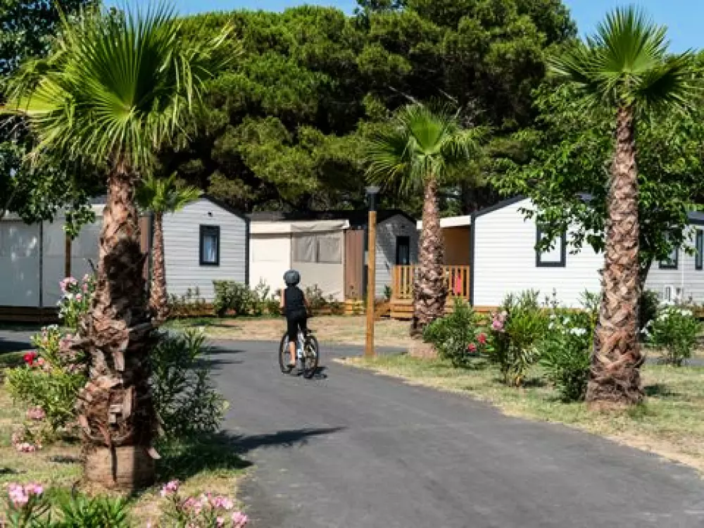 Camping Club La Côte Des Roses 45 étoiles★★★★★ - MS VACANCES 5 étoiles★★★★★