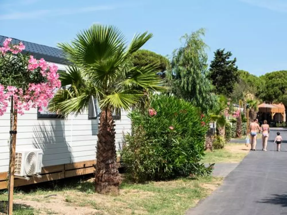 Camping Club La Côte Des Roses 45 étoiles★★★★★ - MS VACANCES 5 étoiles★★★★★