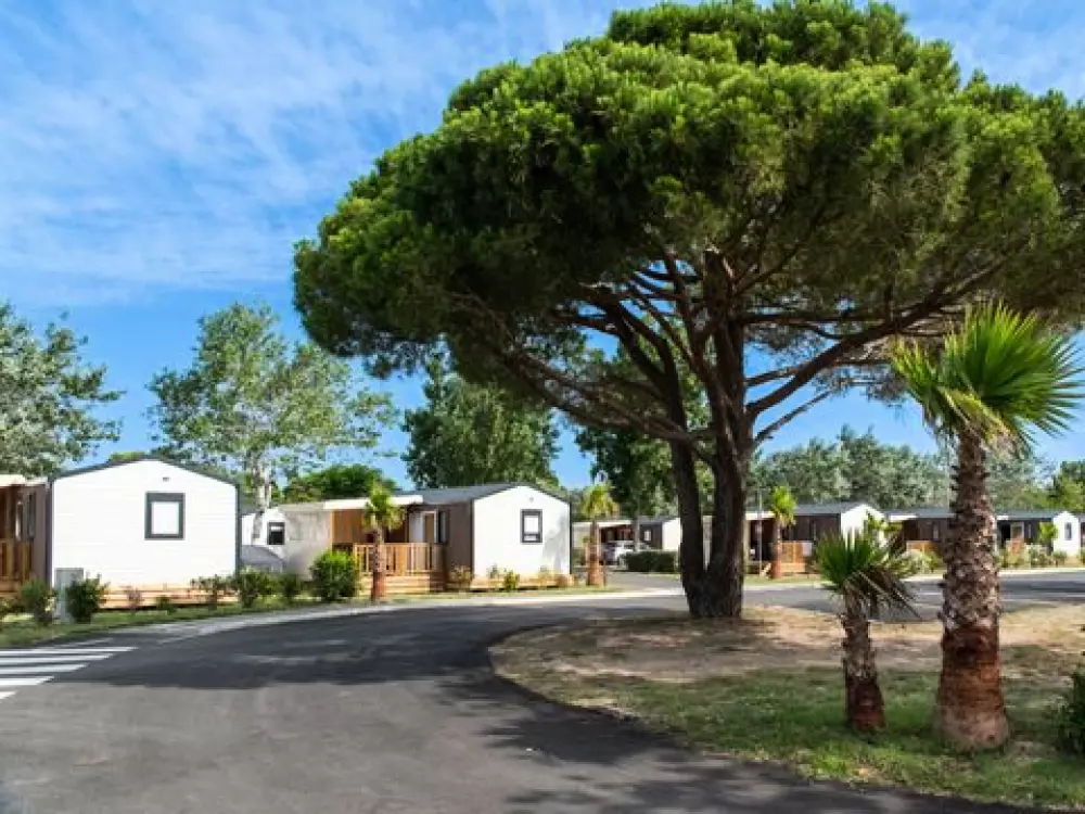 Camping Club La Côte Des Roses 45 étoiles★★★★★ - MS VACANCES 5 étoiles★★★★★