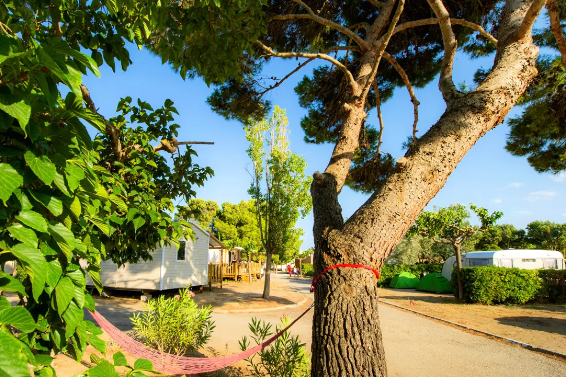 Camping Falaise Narbonne-Plage