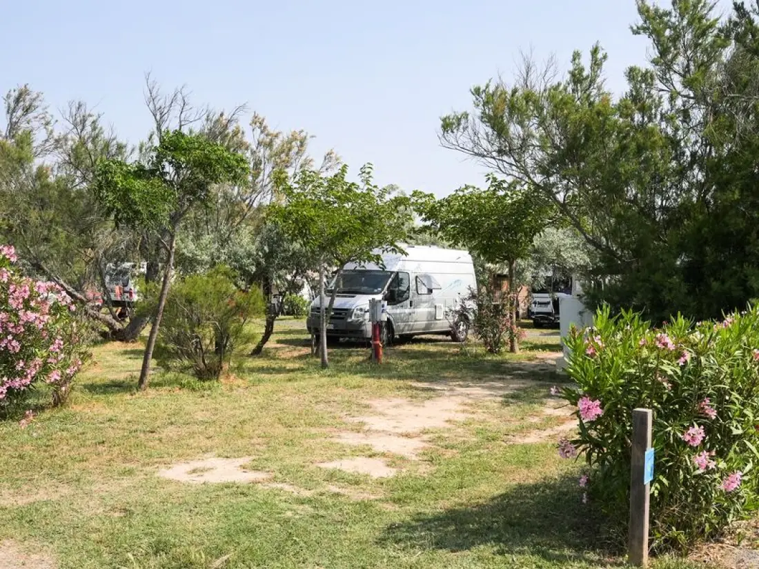 Camping Paradis Le Soleil d'Oc4 étoiles★★★★