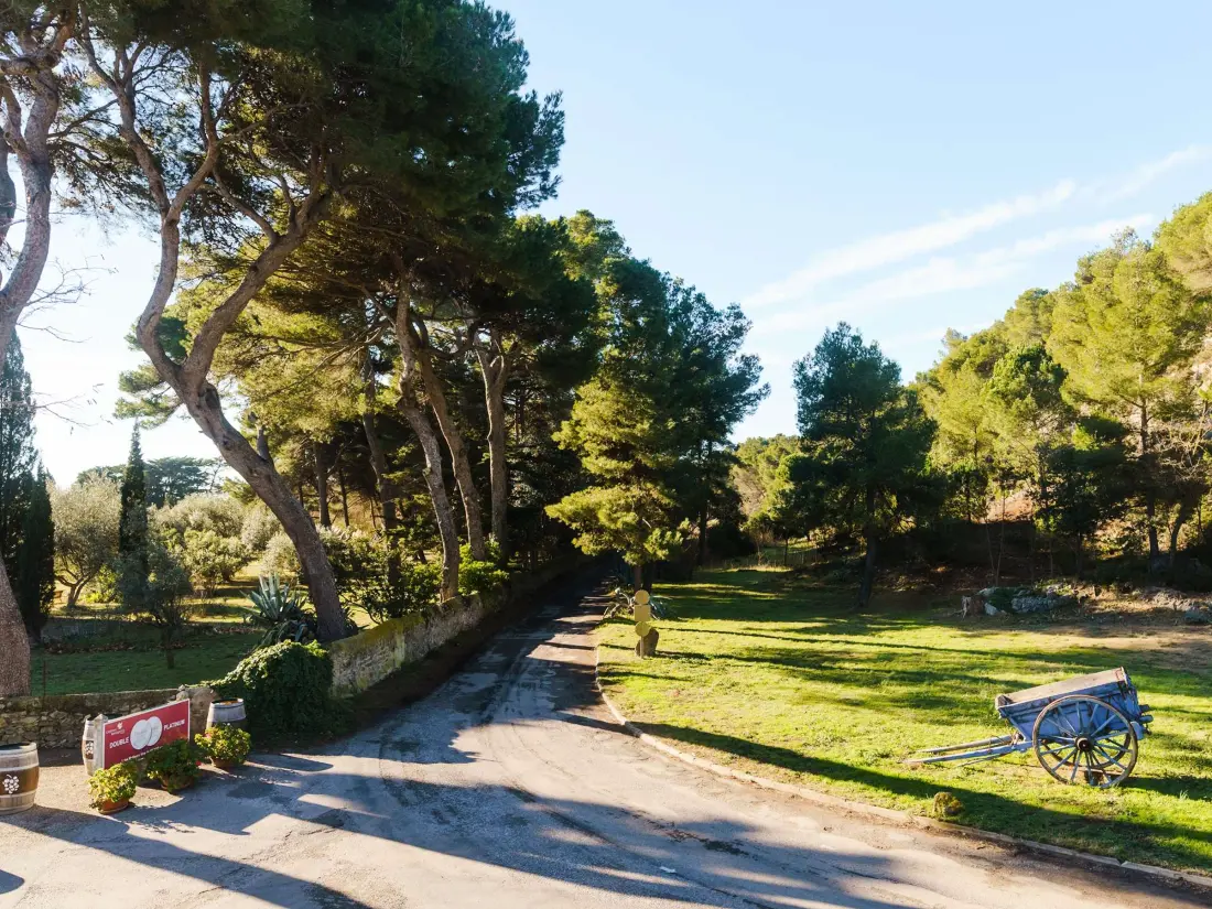 Location de Vacances Narbonne-Narbonne Plage-Narbonne Plage 69