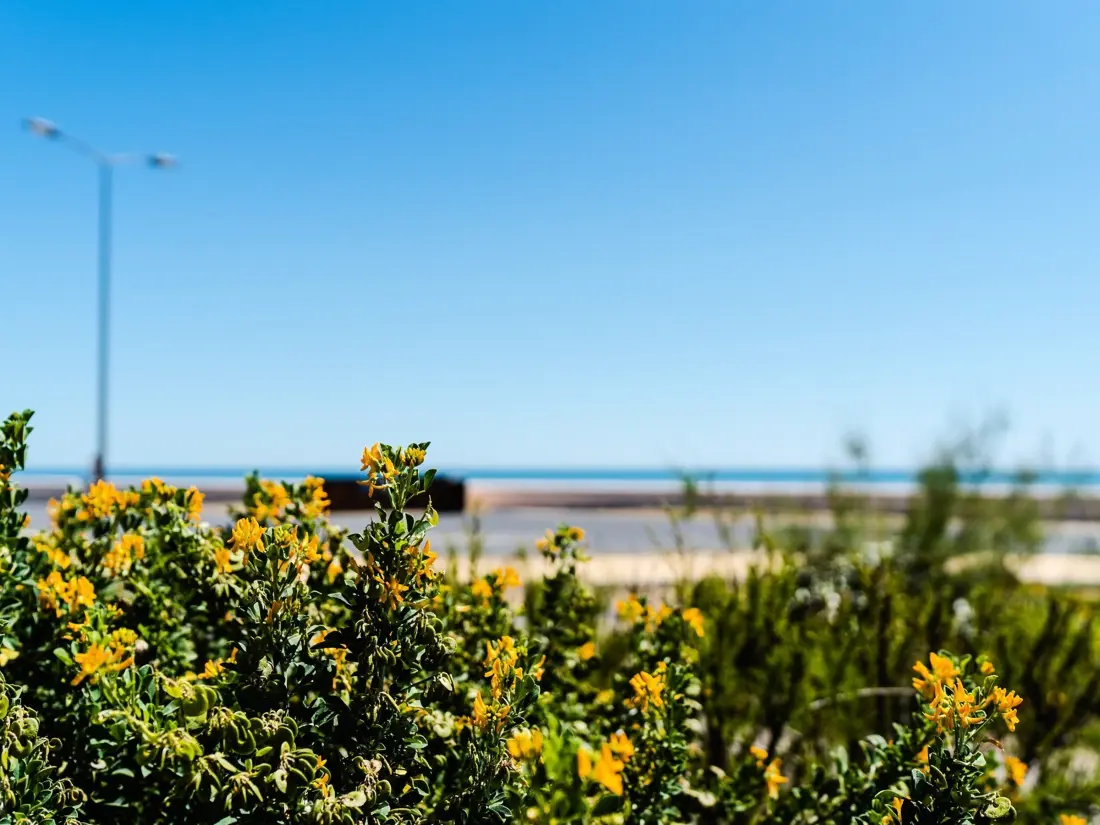 Location de Vacances Narbonne-Narbonne Plage-Narbonne Plage 9