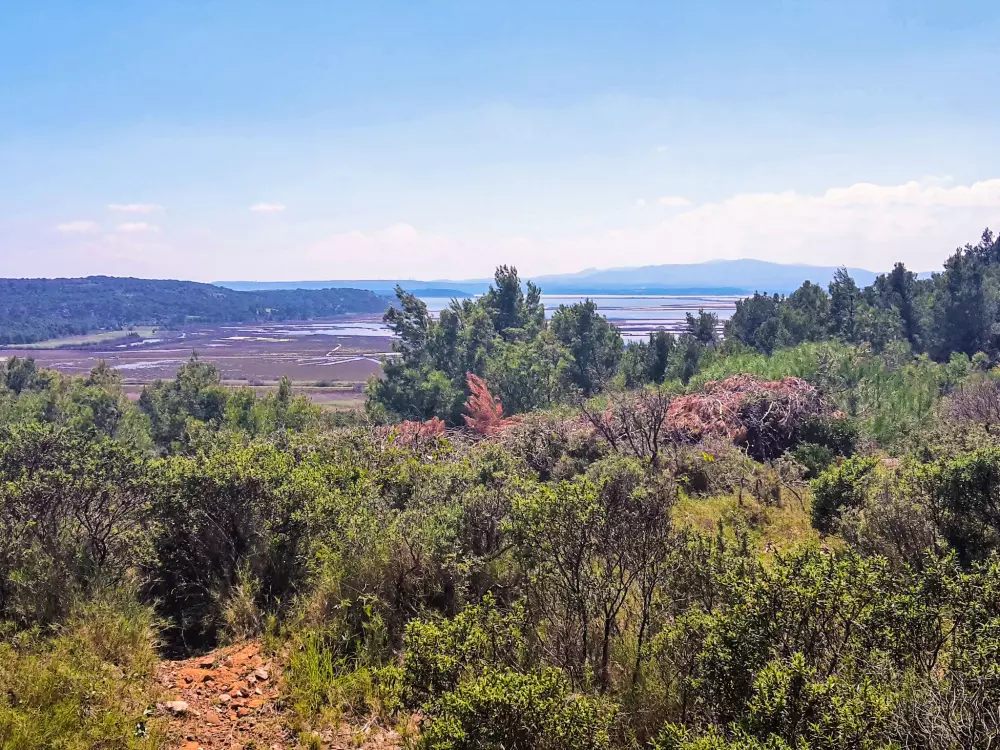 Résidence Les Terrasses du Levant