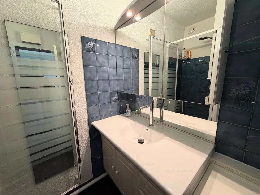 Location de Vacances Narbonne 149
