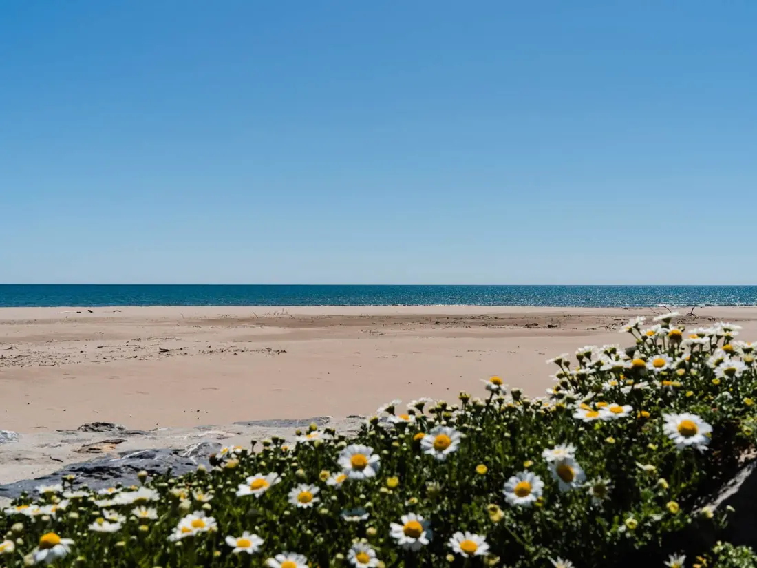 Location de Vacances Narbonne 91
