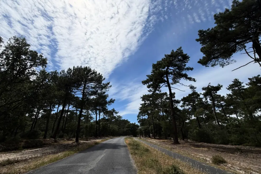 Maison De Charme – Forêt Et Océan, Plage à Pied