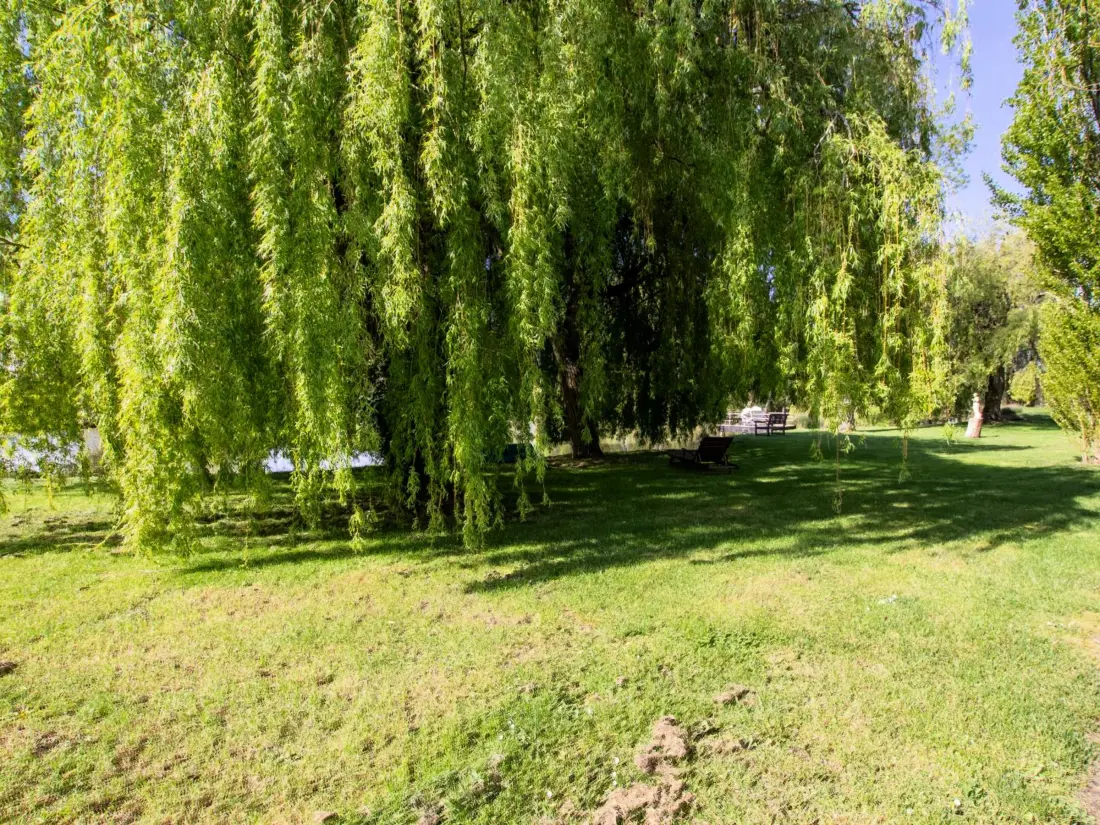 Maison de Vacances Naussannes 3