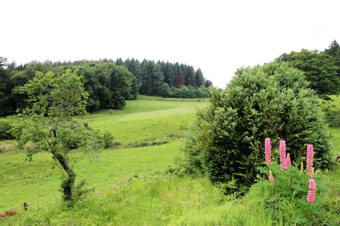 Gîte de France Chalendeix 3 épis