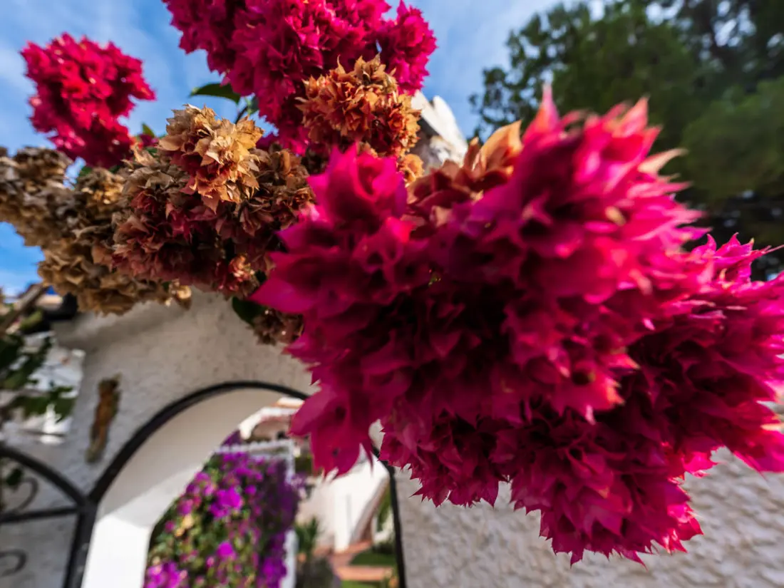 Location de Vacances Nerja 396