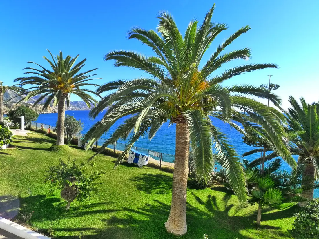 Location de Vacances Nerja 442