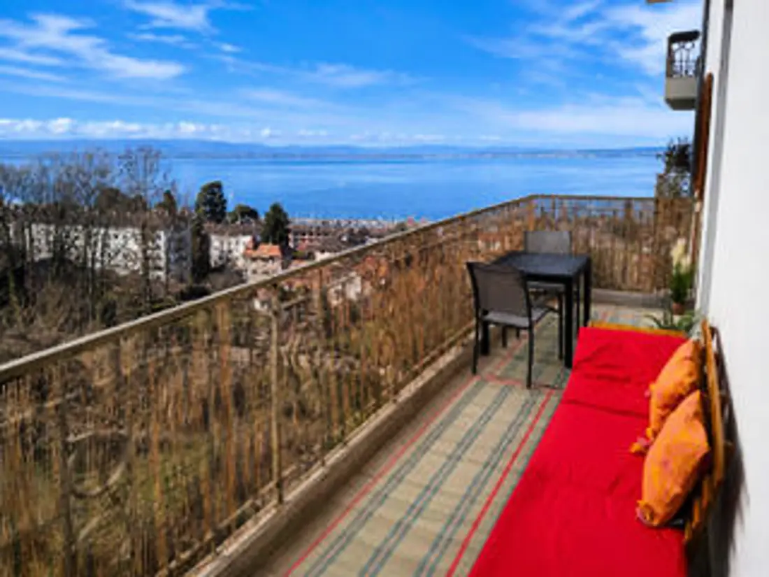 Location de Vacances Neuvecelle 11