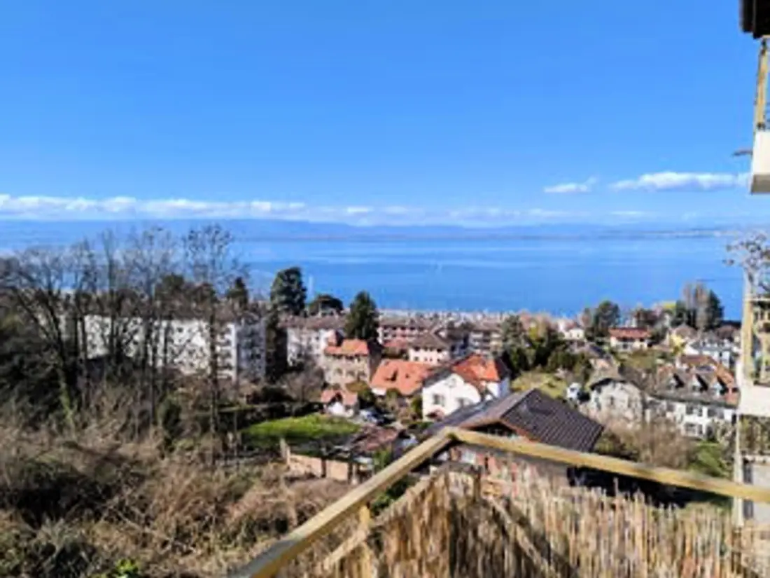 Location de Vacances Neuvecelle 11