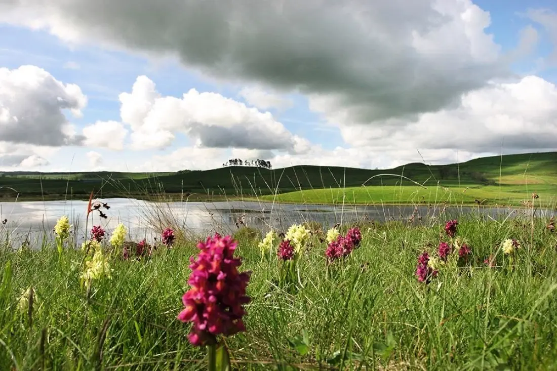 Flower Camping Le Belvédère - Auvergne - Cantal 4 étoiles★★★★