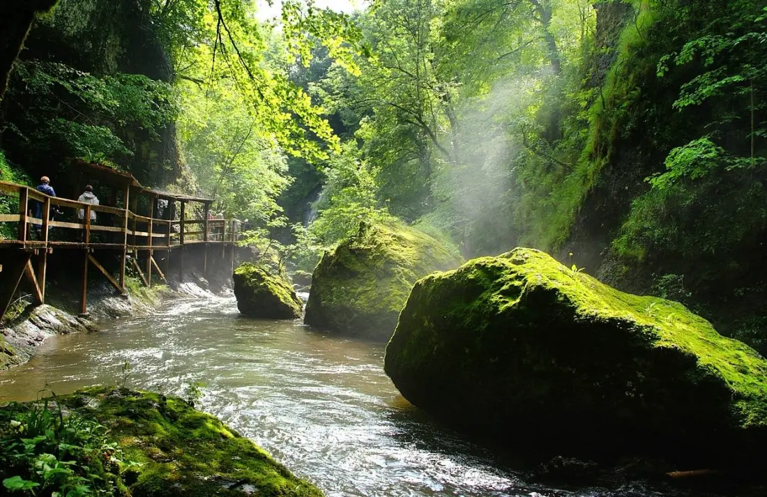 Flower Camping Le Belvédère - Auvergne - Cantal 4 étoiles★★★★
