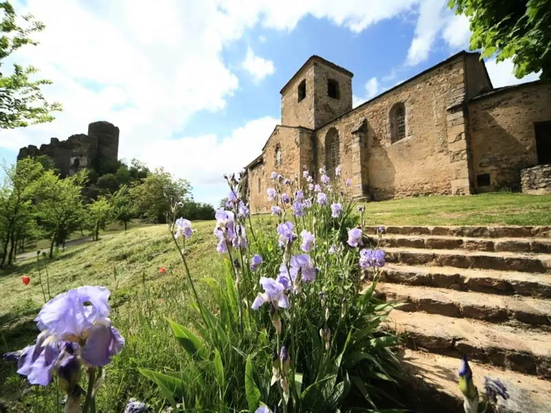 Flower Camping Le Belvédère - Auvergne - Cantal 4 étoiles★★★★