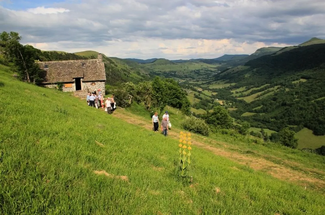 Flower Camping Le Belvédère - Auvergne - Cantal 4 étoiles★★★★
