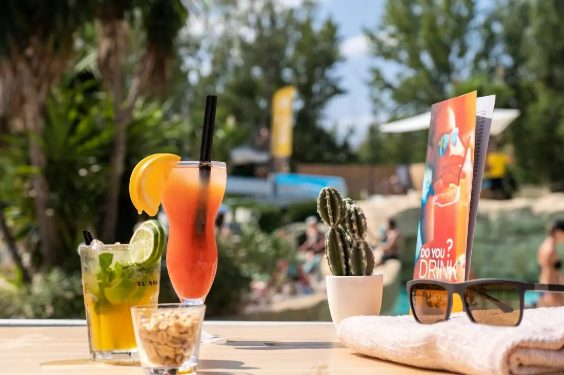 Camping Sandaya Port Manech 4 étoiles★★★★