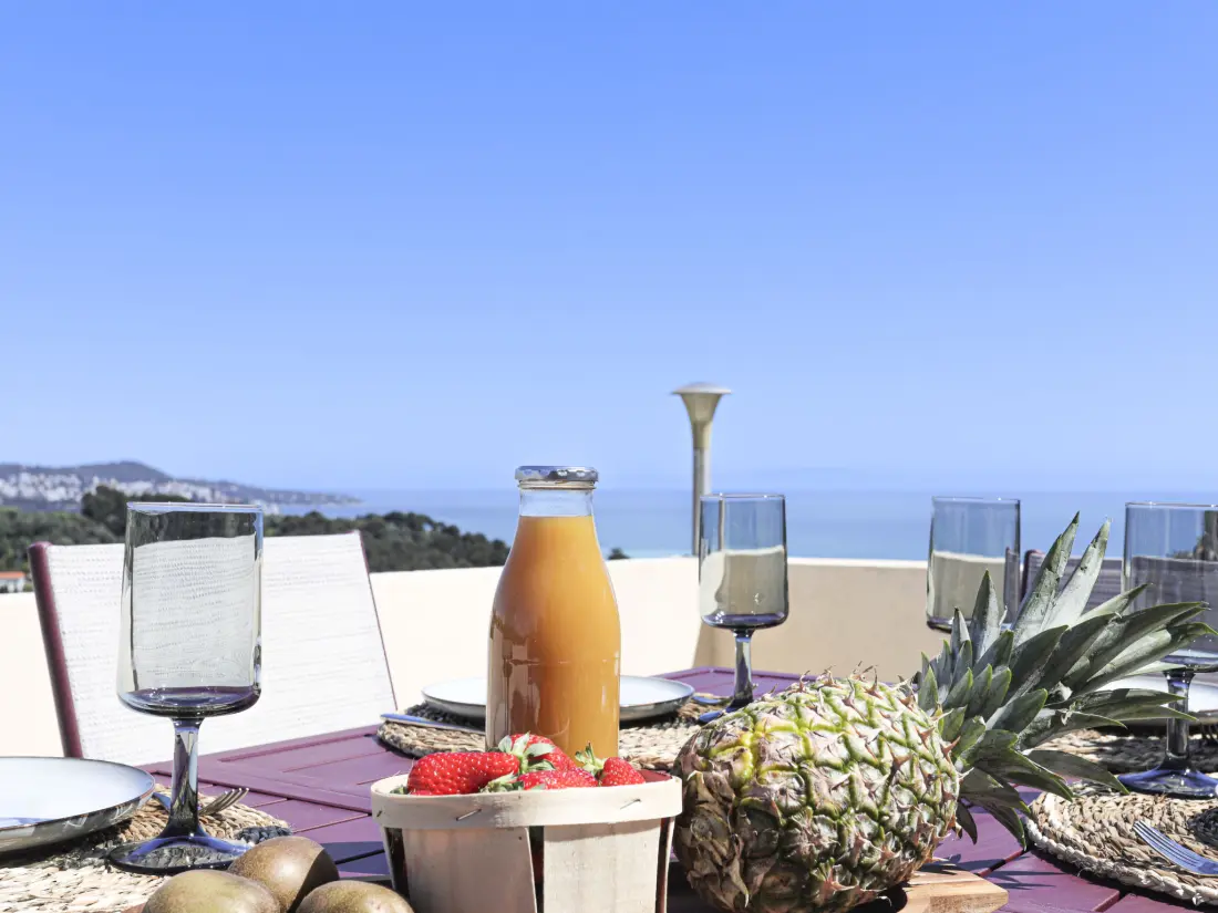 Maison de Vacances Nice