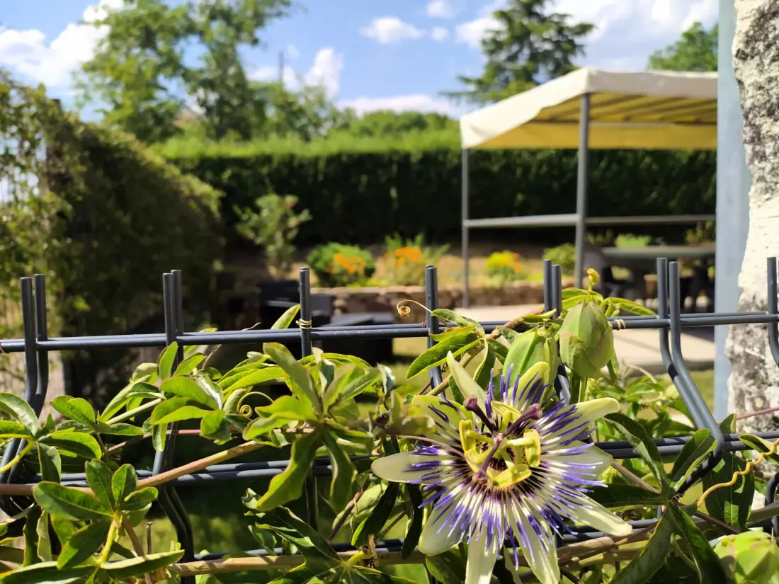 Maison de Vacances Nohant-Vic 7