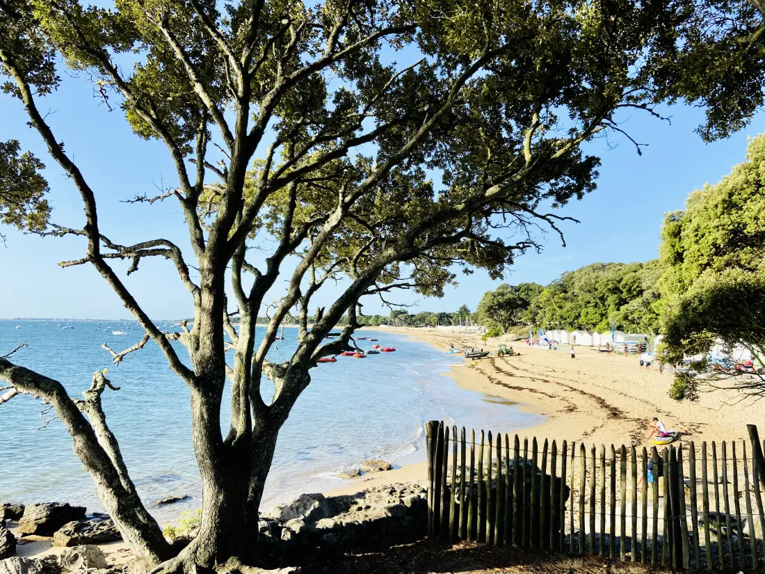 Maison à Noirmoutier