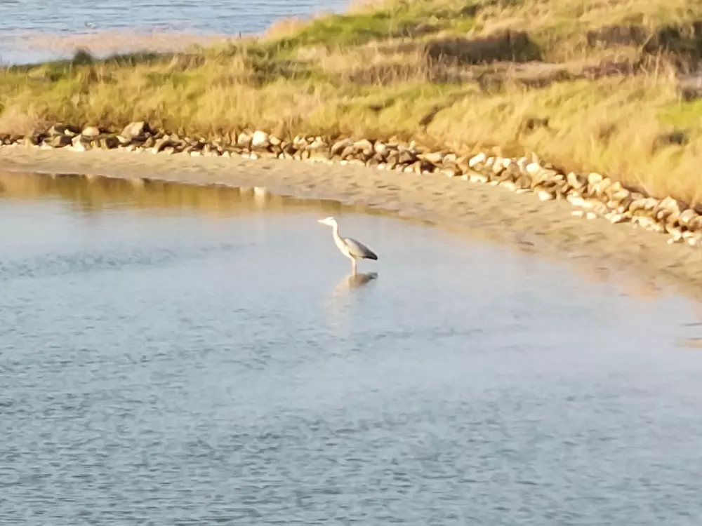 Maison de Vacances Ile de Noirmoutier