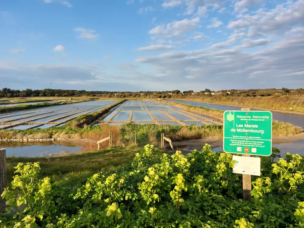 Maison de Vacances Ile de Noirmoutier