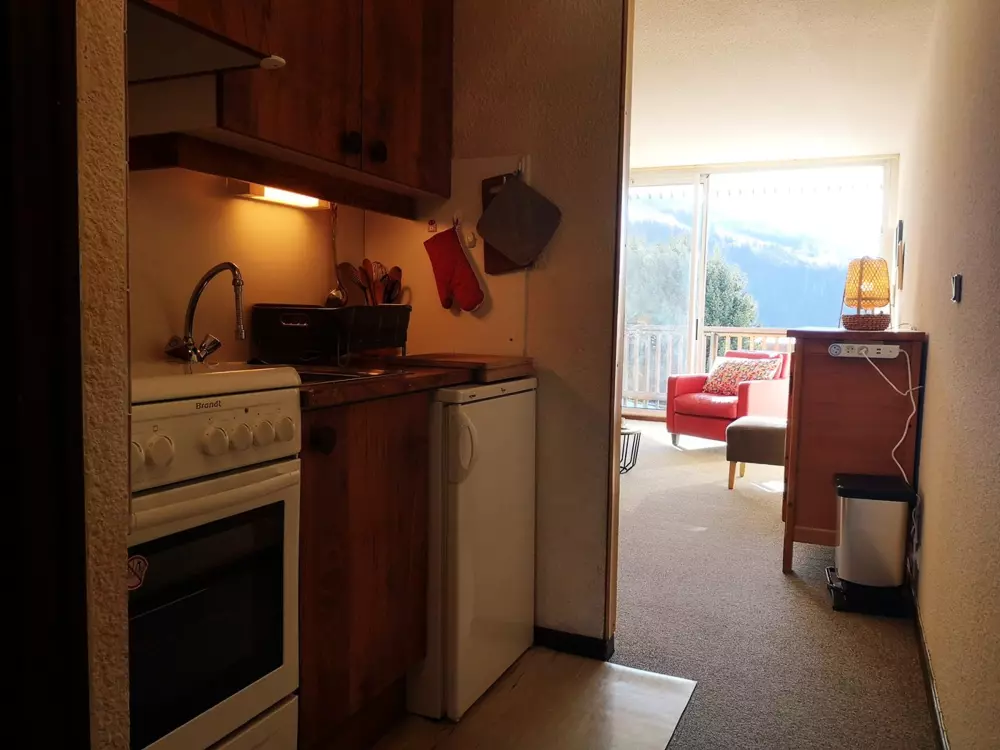 Location de Vacances Notre-Dame-de-Bellecombe 15