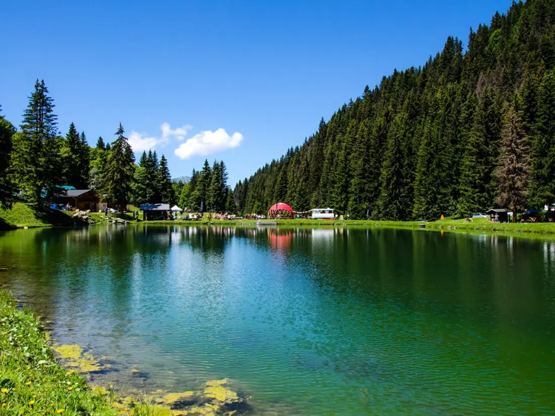 Location de Vacances Notre-Dame-de-Bellecombe 5