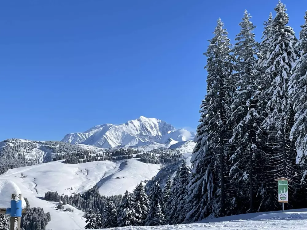 Maison de Vacances Notre-Dame-de-Bellecombe 49