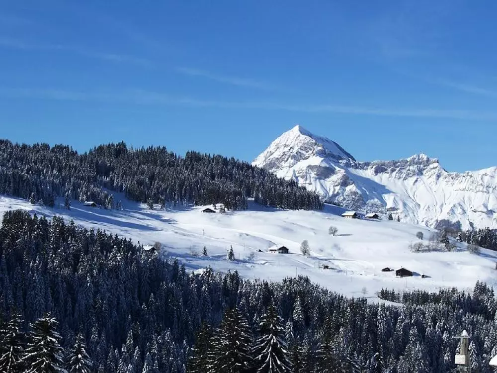 Résidence L'ancolie