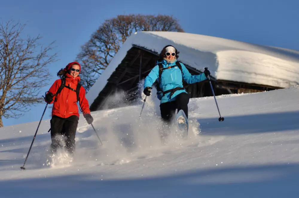 Résidence L'ancolie
