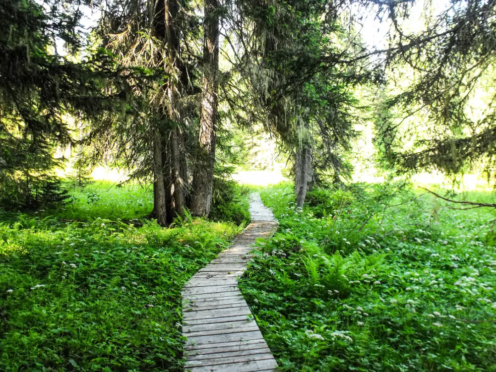 Résidence Les Adrelles