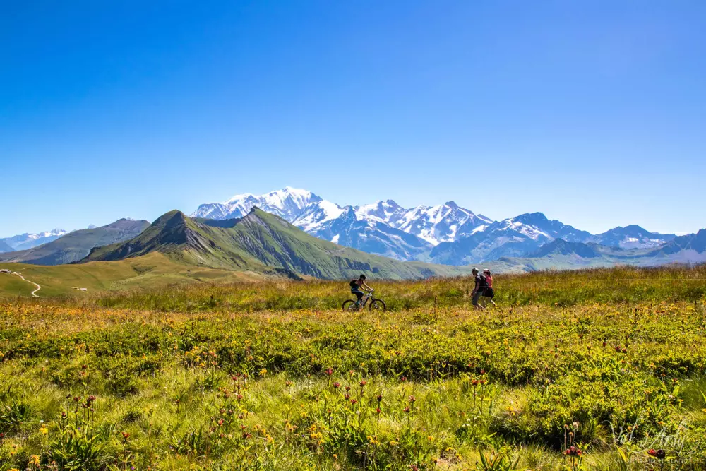 Résidence Les Adrelles
