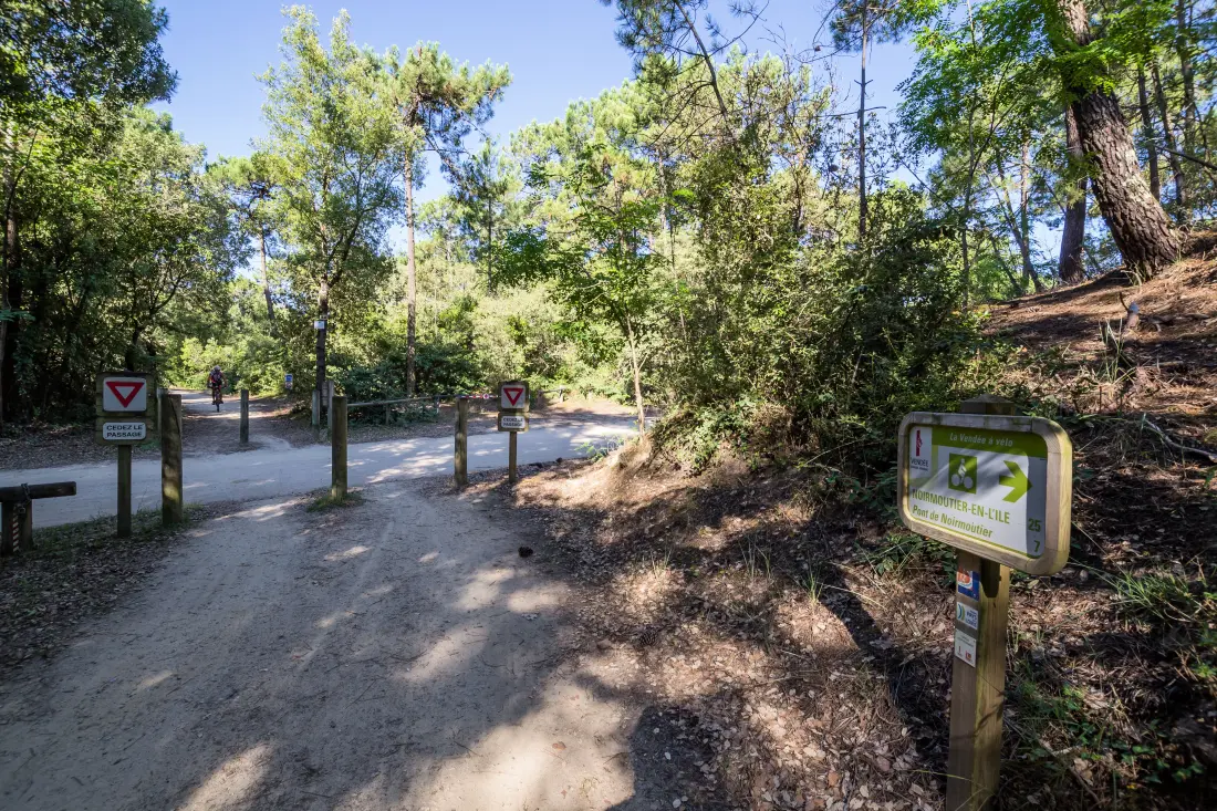 Camping Albizia4 étoiles★★★★