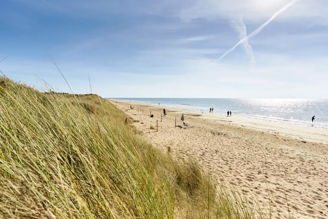 Camping Albizia4 étoiles★★★★