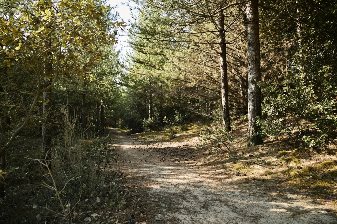 Camping Albizia4 étoiles★★★★