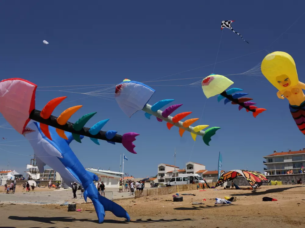 Location de Vacances Notre-Dame-de-Monts 297