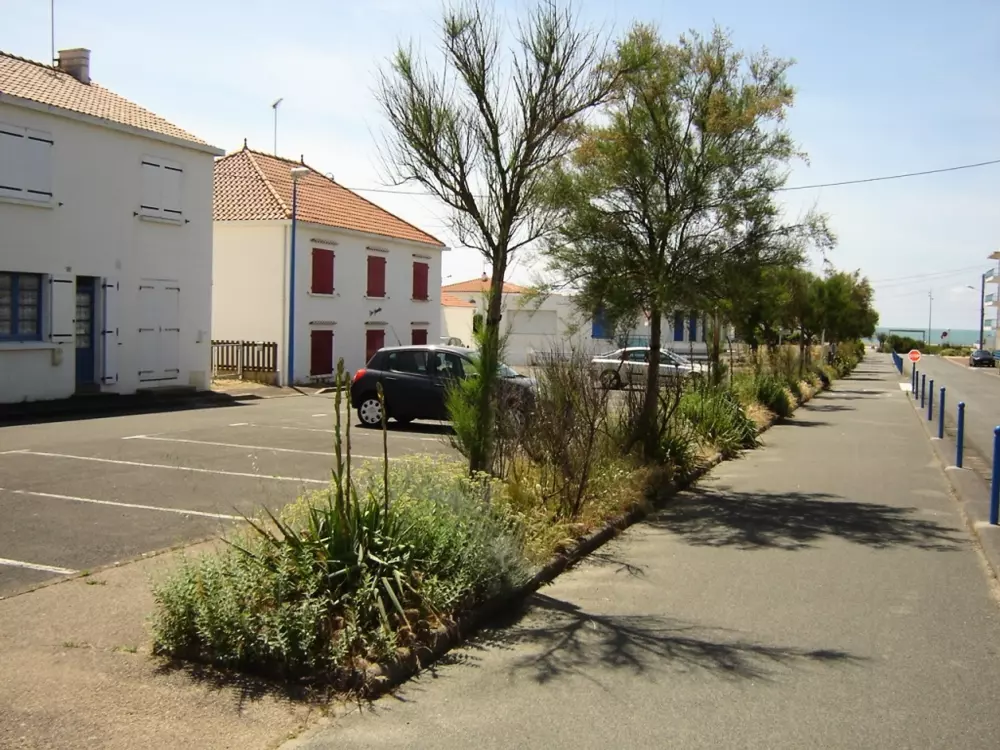 Location de Vacances Notre-Dame-de-Monts 297