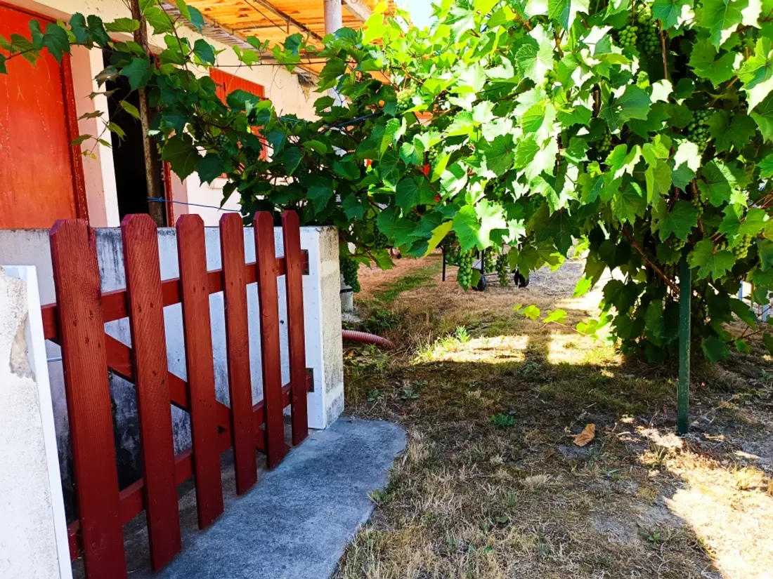 Maison de Vacances Notre-Dame-de-Monts 228