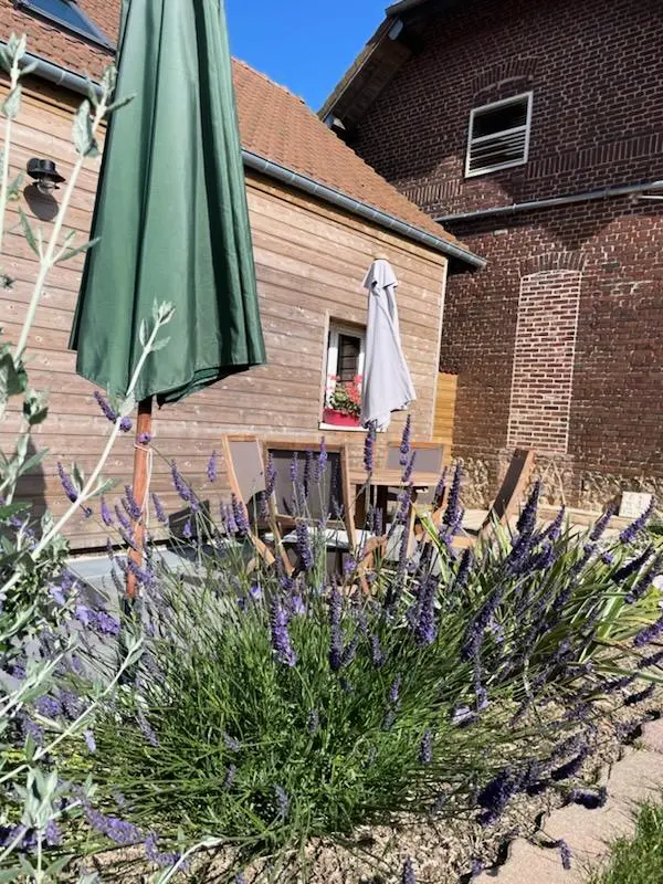 Gîte de France Gîtes de france® - la p'tite maison de papito et mamito 3 épis