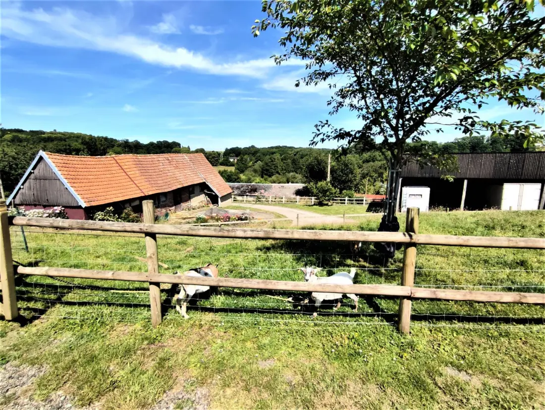 Gîte de France Gîtes de france® - la p'tite maison de papito et mamito 3 épis