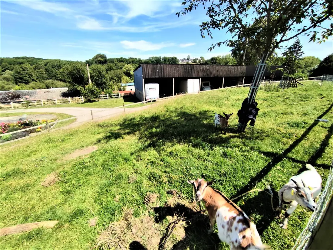 Gîte de France Gîtes de france® - la p'tite maison de papito et mamito 3 épis