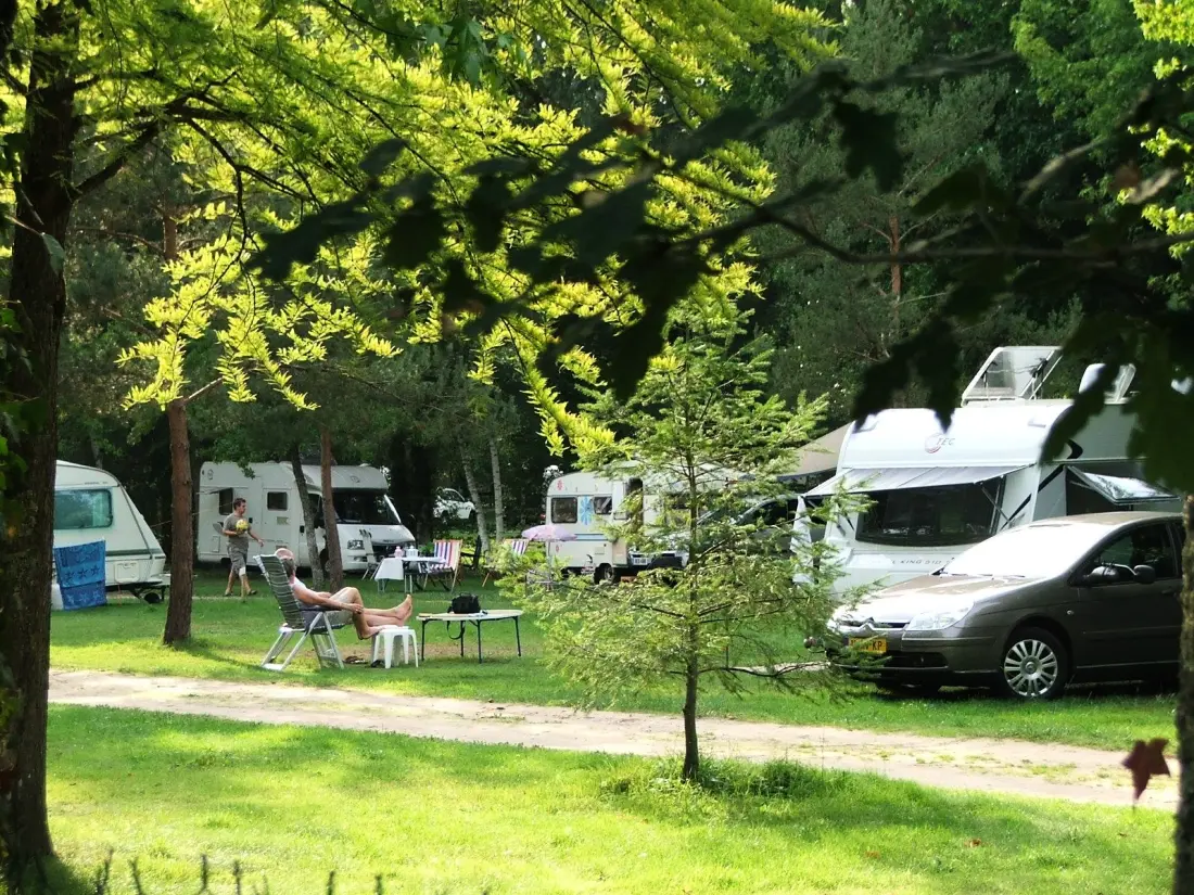 Camping L'Etang de Sologne 4 étoiles★★★★