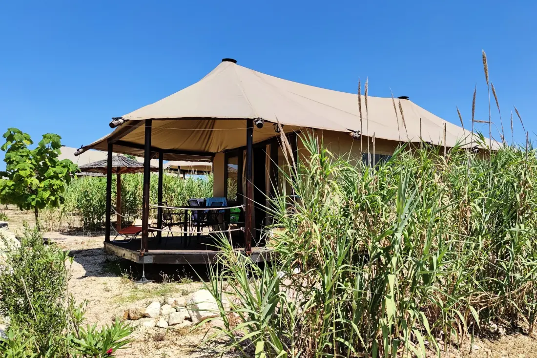 Camping Phalaris