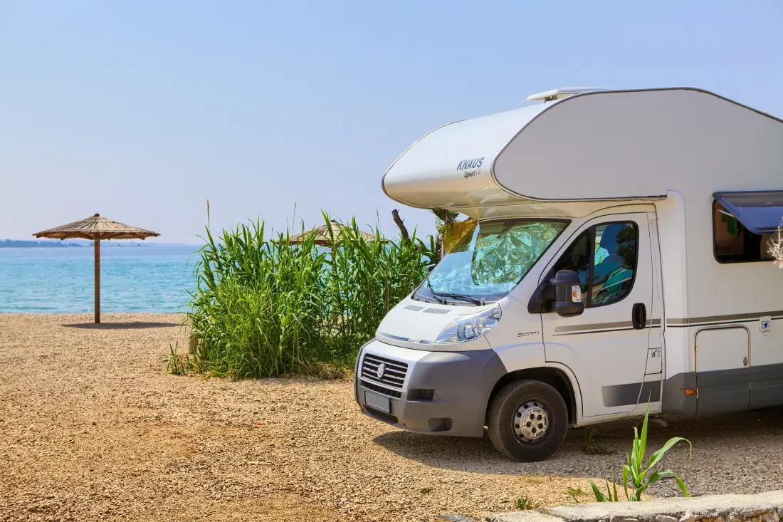 Camping Phalaris