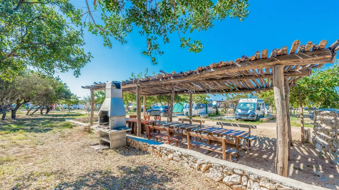 Camping Phalaris