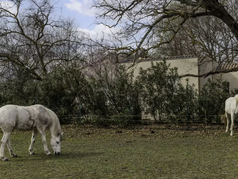 Résidence L'Aquillon